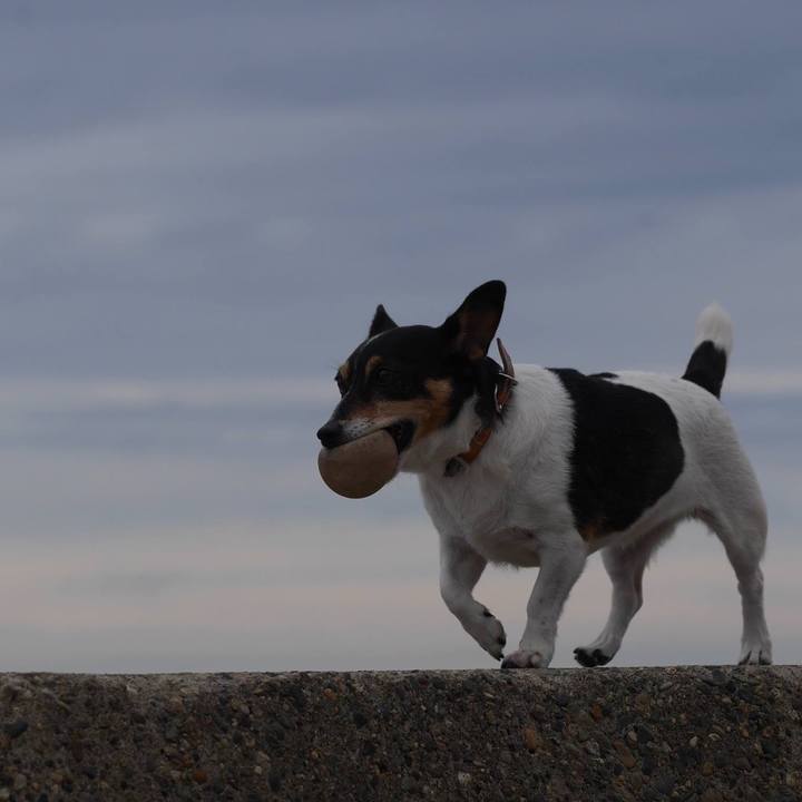 784422f9 ab26 49b8 9b01 c61f19776e79