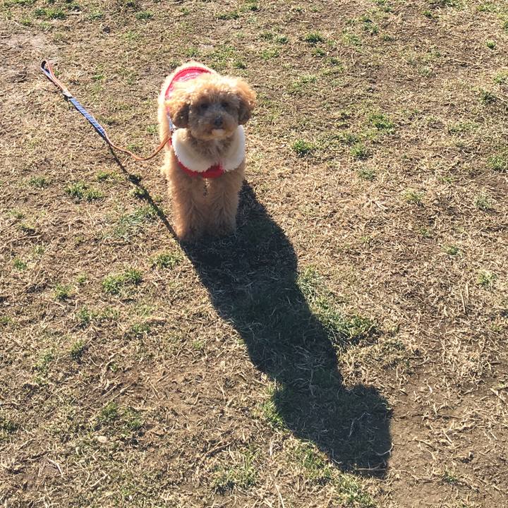 78443406 1e90 4862 ab67 ade9e4bb56ef