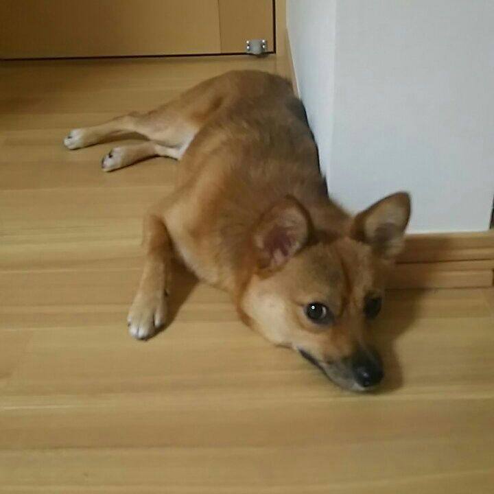 784439f4 33ab 4e9d 9082 681ab5fbb499