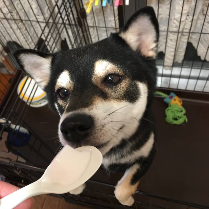 78446dea 773c 47f9 9b16 aaf20cbd2e03