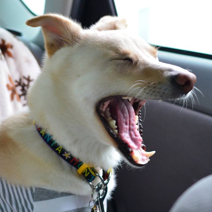 7845162a 926d 4d06 914d 4813df4e3f4f