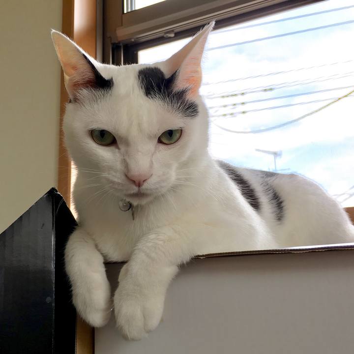 78451d5e ef1d 4720 a113 973ec030520f