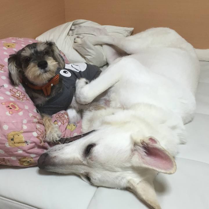 78458e26 e9dd 455a 9376 6df836c85353