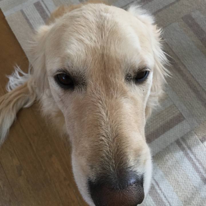 7845be35 2f25 40d3 9ec9 ed6cb3e1526f