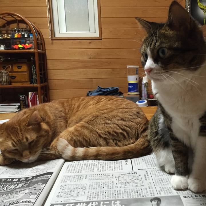 7845c5fc 9588 4537 880c 405b31563fd1