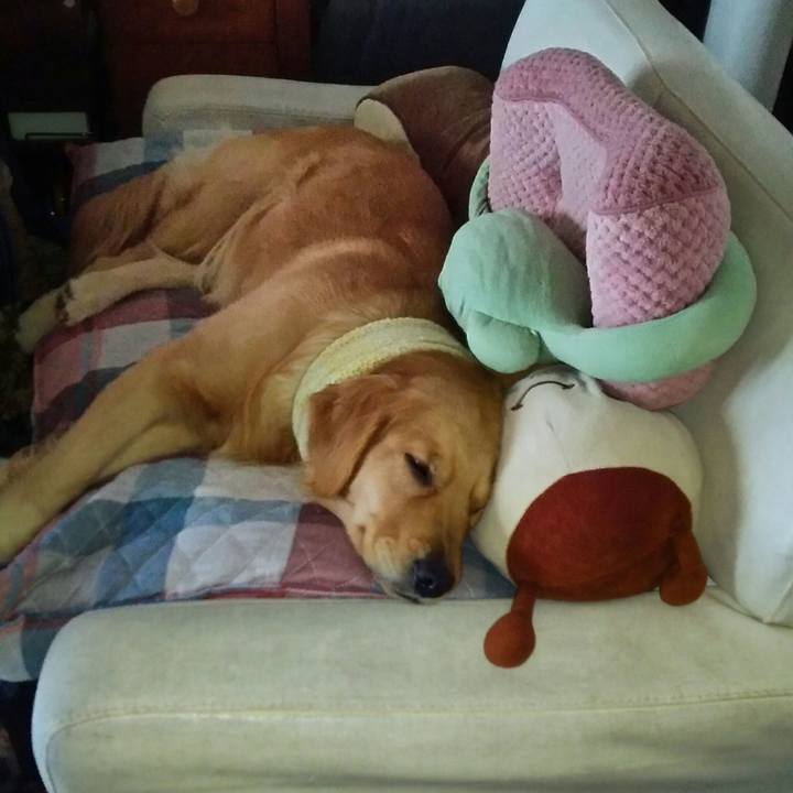 7846323c d2b3 44bd ae0d 0a483c949fa7