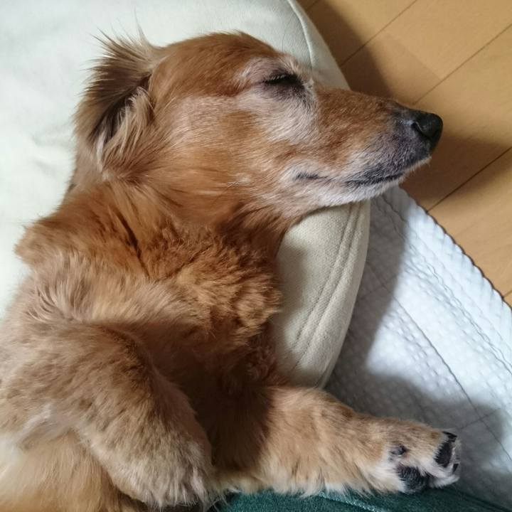 78469a79 d77e 48a5 9a1c 1d71fedb6f77