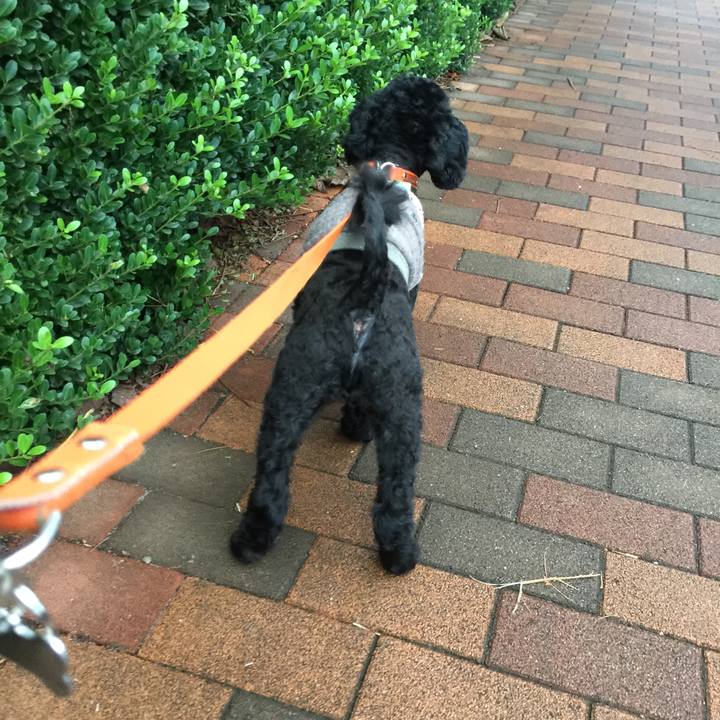 7846b7ea f289 43a1 81b3 620ac0fabb59