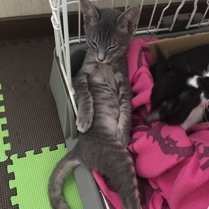 7846d1c2 54a6 4a9c b7f1 dd6f2bea5de9