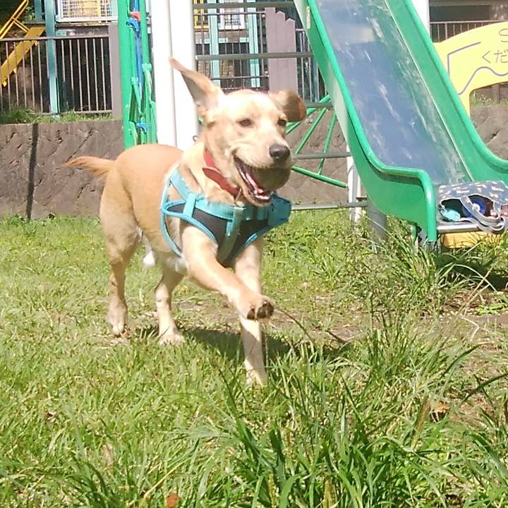 7846f6ea 3cd9 49e4 868b feea2cdc4ded