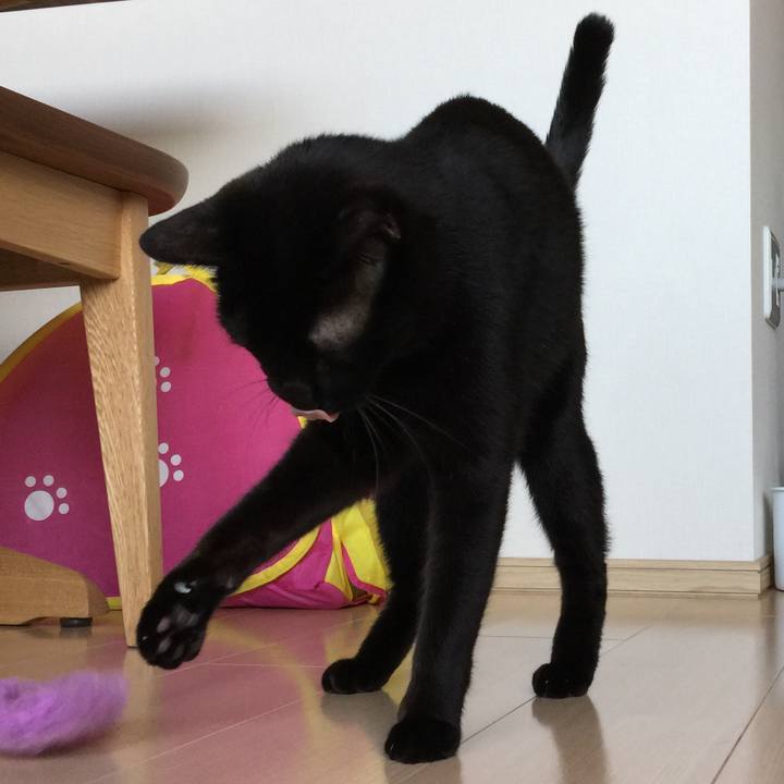 78479297 ccbb 44f9 afe1 cd1f6232ed46