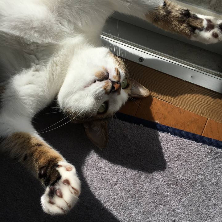 78481386 df20 4677 b538 82545a02fdf3