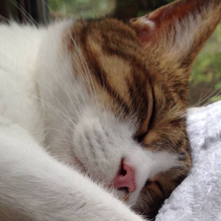 78491593 e561 4a80 8ffd dc2e48ec96a3