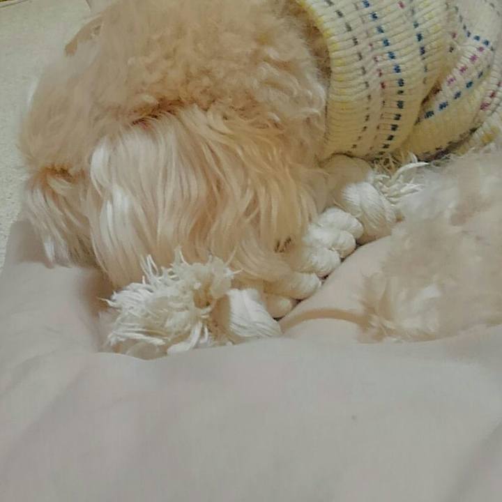 78494e87 ed8c 4560 8ce6 605011221a90