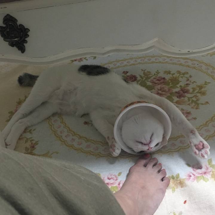 7849efe9 a560 4675 a2b1 af36dcbb9368