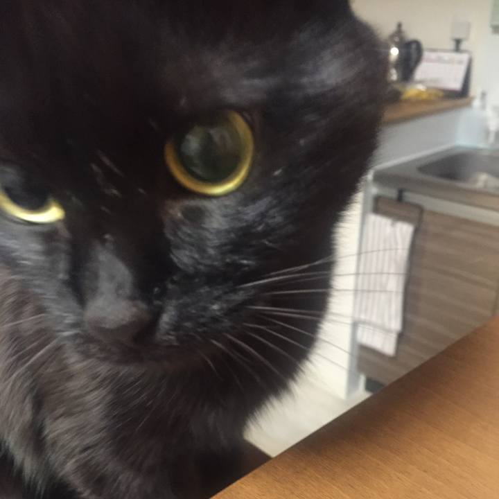 784ad0cb 68c2 4f56 8416 63f6a6fb7836