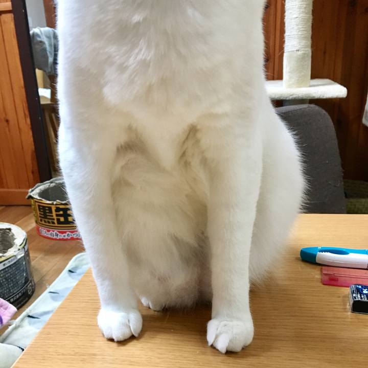 784b6eb5 964b 40c6 a6b4 ffbf358a899d