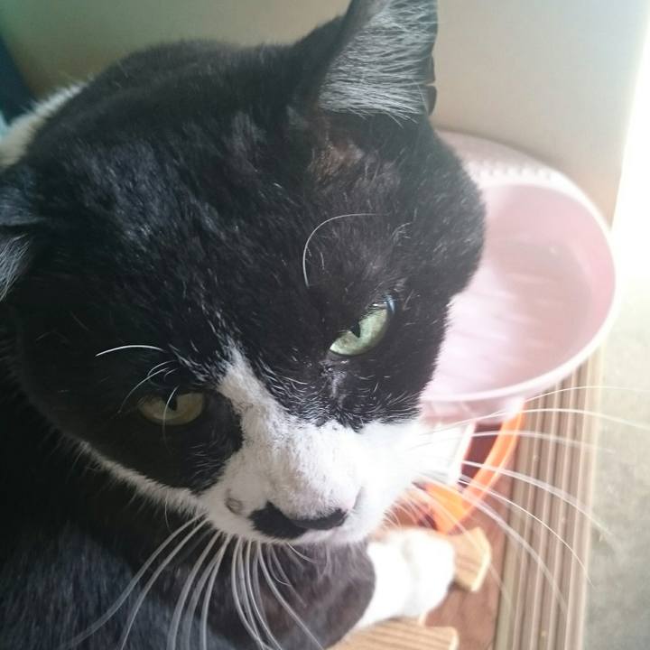 784bd2a0 c056 479d afd1 fa76669bc85f