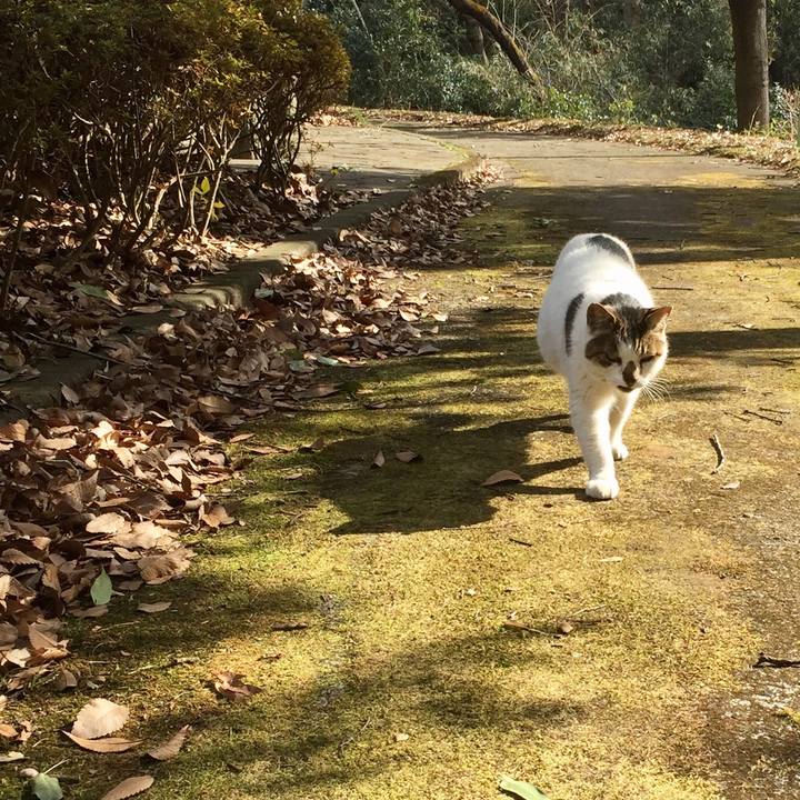 784bddc6 6f9b 44e1 a23f 7d42b000da97