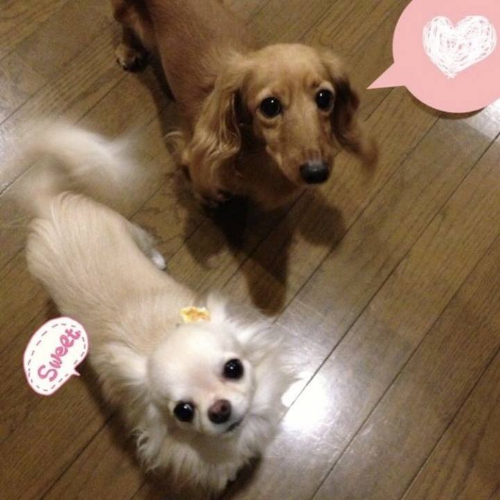 784c08ff 1cff 477a b6eb 5634efb2613c