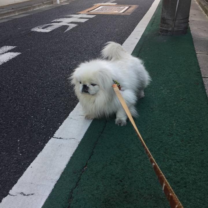 784c4afc 4b62 4af3 8128 3727ae261215