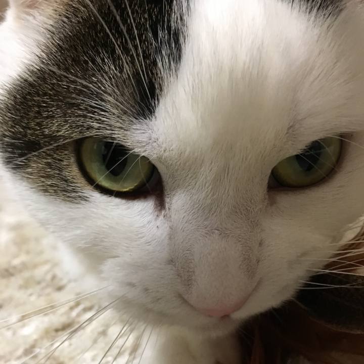 784cc579 a968 4247 aa09 32fc9531c14a