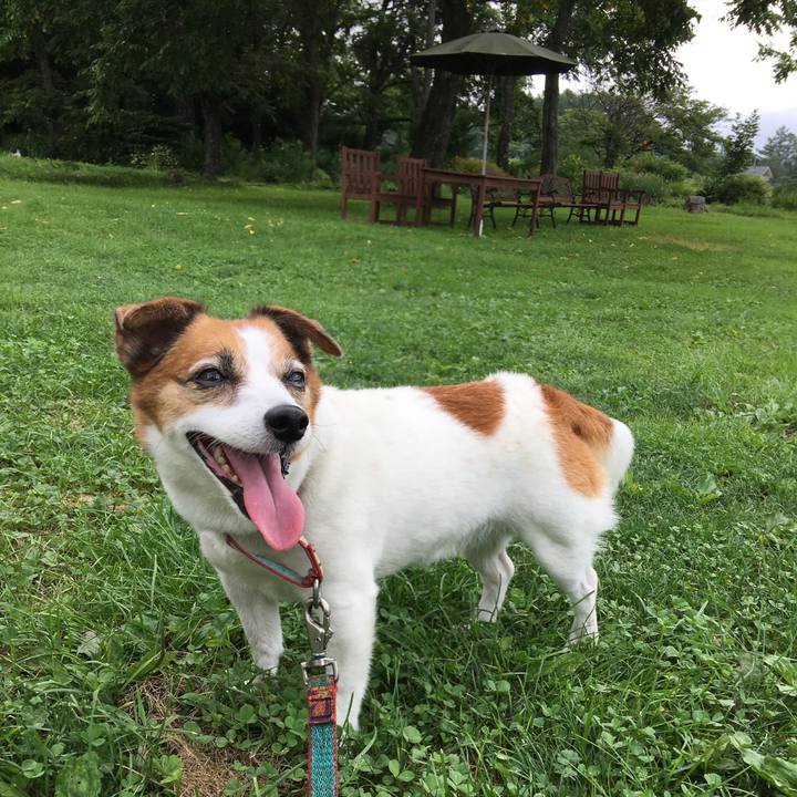 784dbac2 4be4 45f3 a01f 2a36b7e2e78a