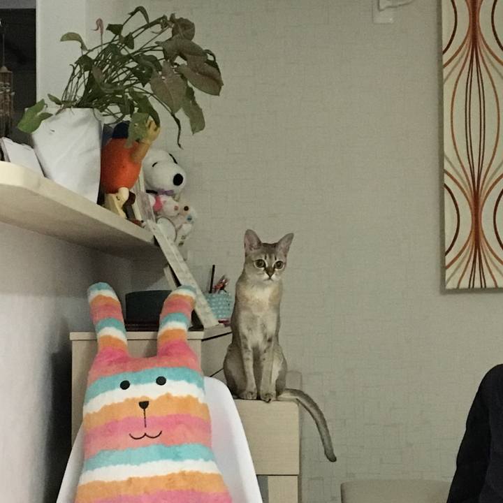 784e7f84 4012 4388 acf1 43087fec6ad8