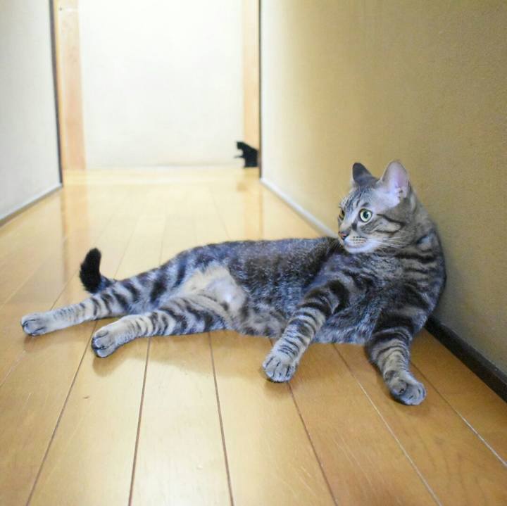 784eace8 faf0 4170 ac86 493faafda5f0