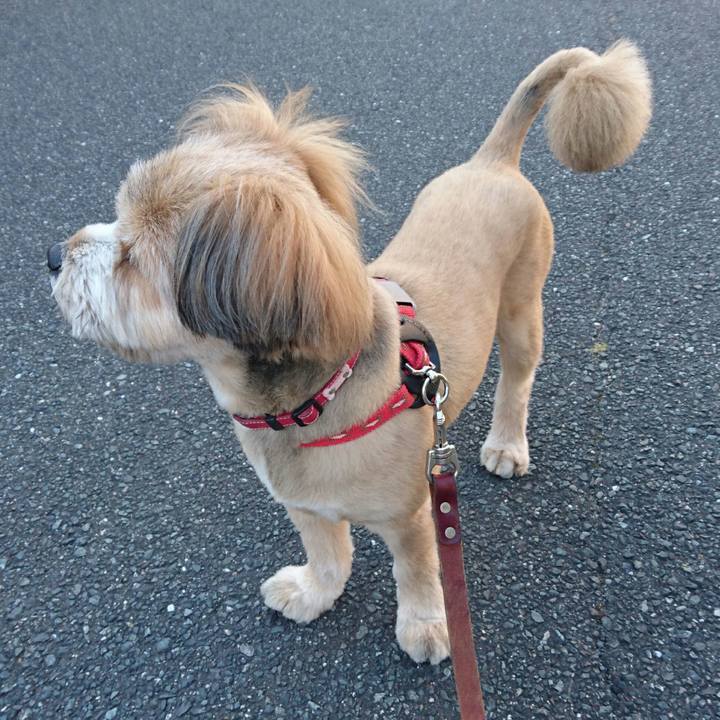 784ec6f9 a6dc 4078 8bf0 8a2afabe536a