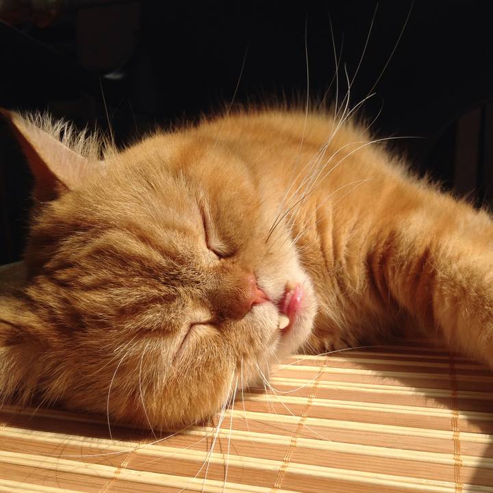 784fb03c 5413 443b 9153 c383f1abdf25