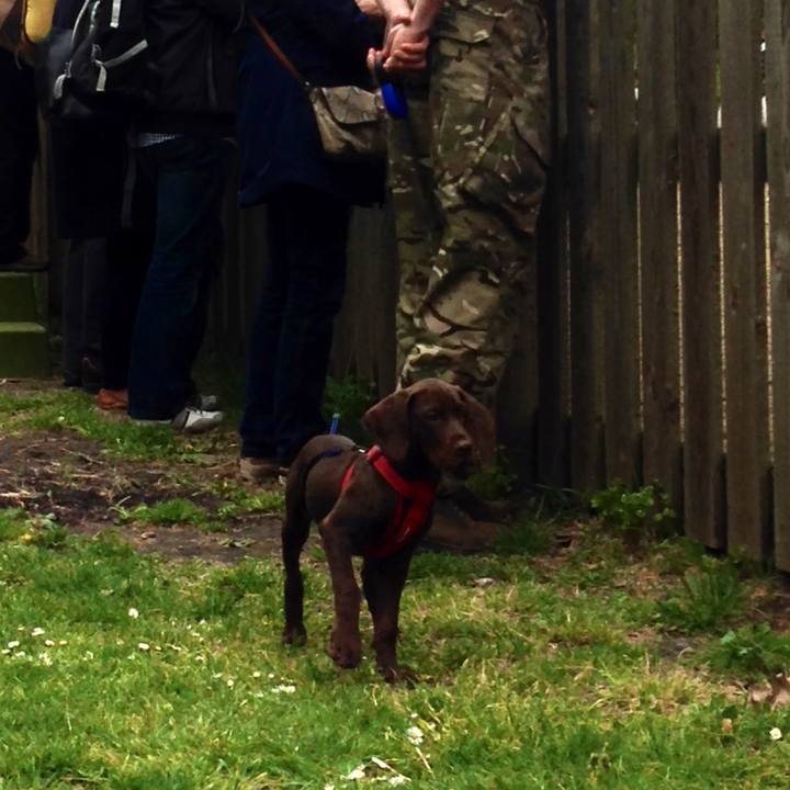 784fd614 19fd 4a8e b3bd b448fe4652e0