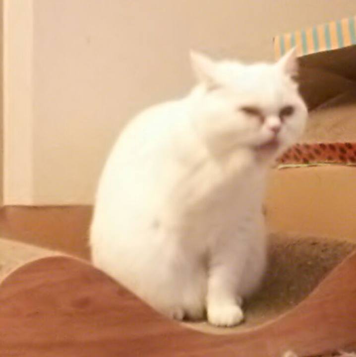 784ff132 fa76 45ce 8d57 40d01848b214