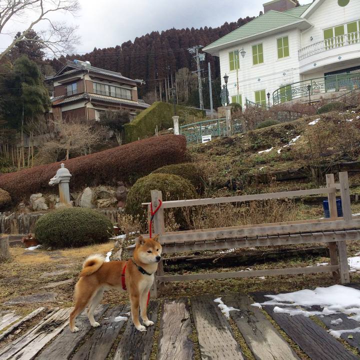 78507e8a 21c7 43a3 a0ef bb9aa31d9ca4