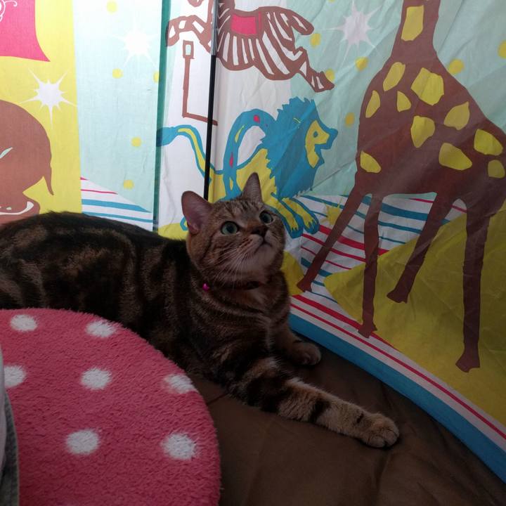 7850e0d6 0138 4e6d 89e1 61f82d2ba9a1