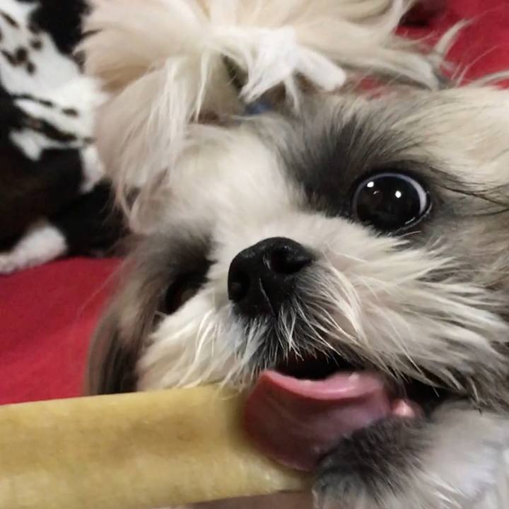 7851e6f7 101c 4325 94bb 7dbeb4a4eeba