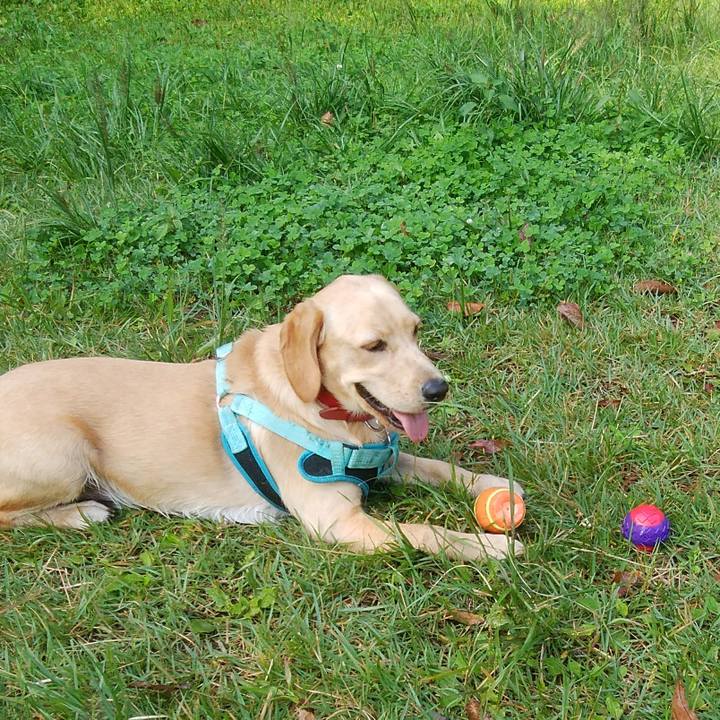 7853224a 88b4 4512 9077 2f071988e7ba