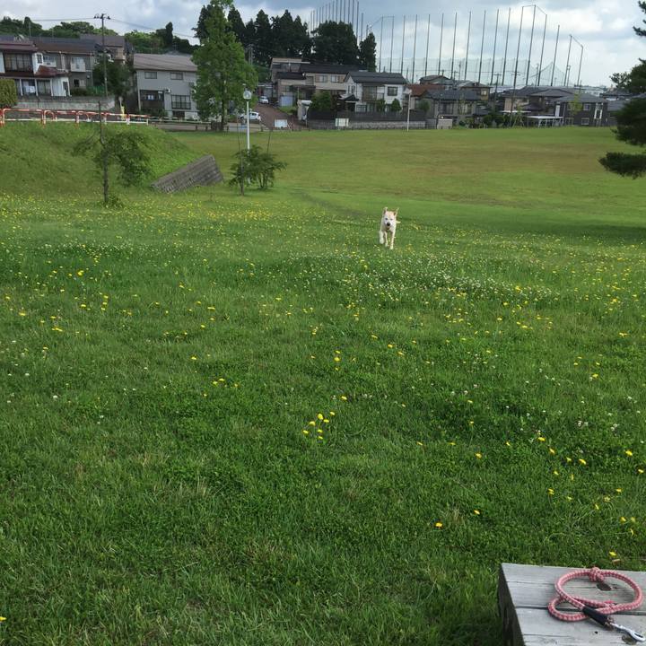 785329a6 943a 4228 942b 279901b01d84