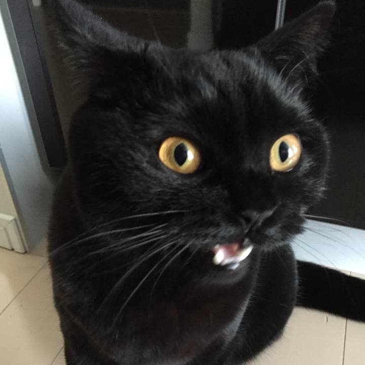 78556a91 0d46 4cf2 b073 a2604971e179