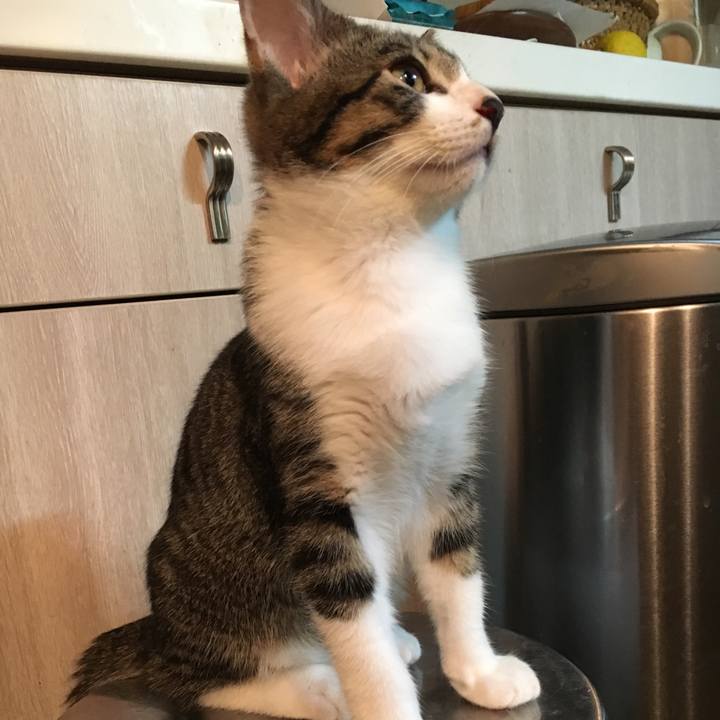 7855c27f 4cc3 483b 9dbd 6fde6fb8af14