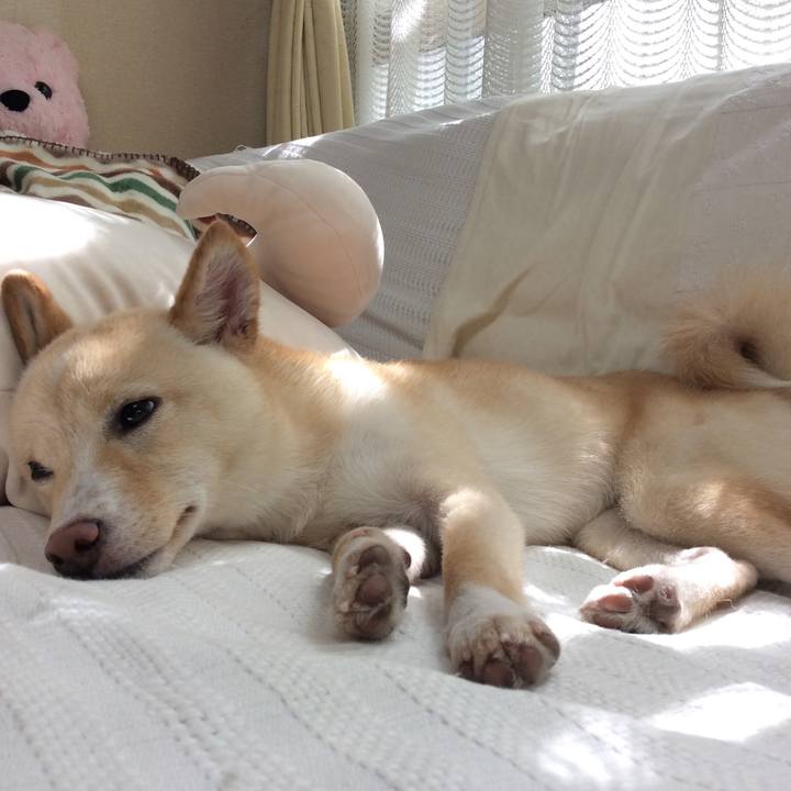 785618dc ac6f 4f7f b65f 6e4c5a7393b8