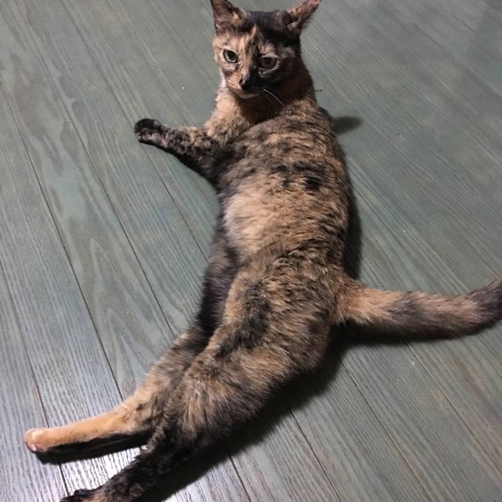 7857a762 07fb 4243 8249 2ab76ef7bef0