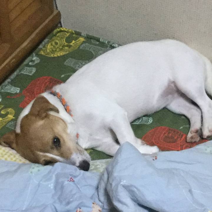 785845a6 4c06 4495 a0cf 01bf9b3f91ef