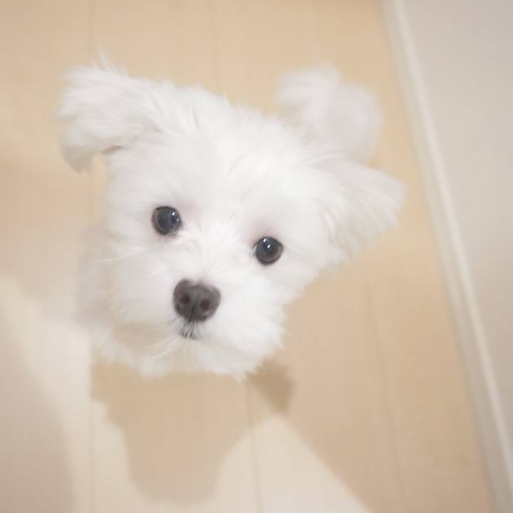 78587dbe d9ea 433f afa3 2fe50a8483bb