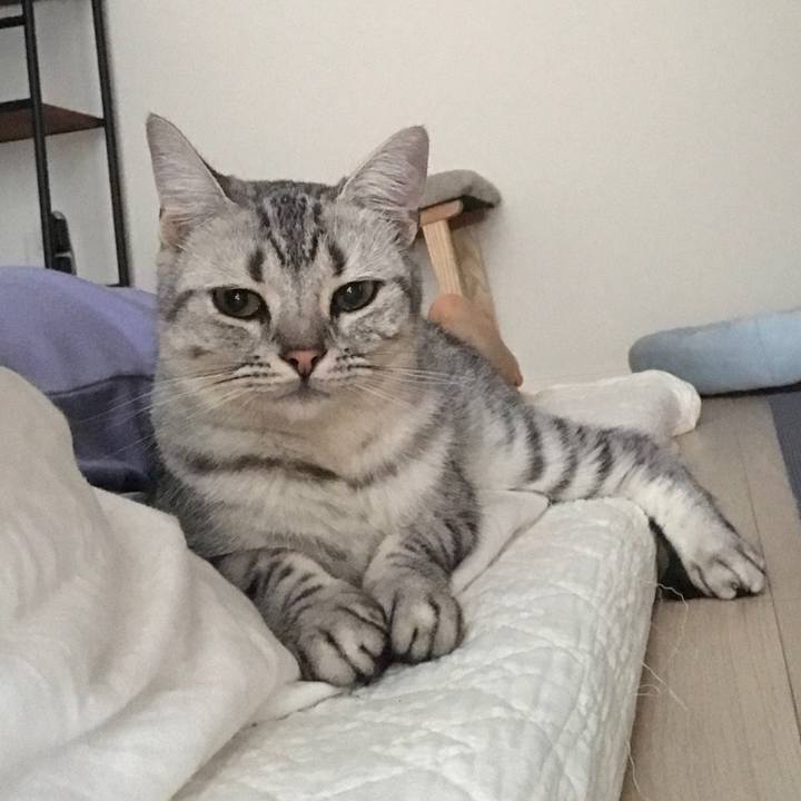 7858bc34 94a1 4daf bf6b ef91cc4e2cd2