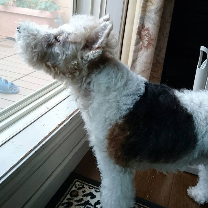 785a3905 9011 42c7 b7be 280e70c834c0