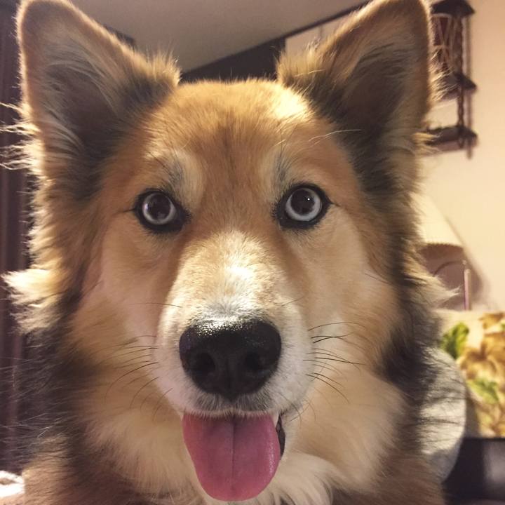 785a7c86 34ce 414f a126 9b35b6e11e5d