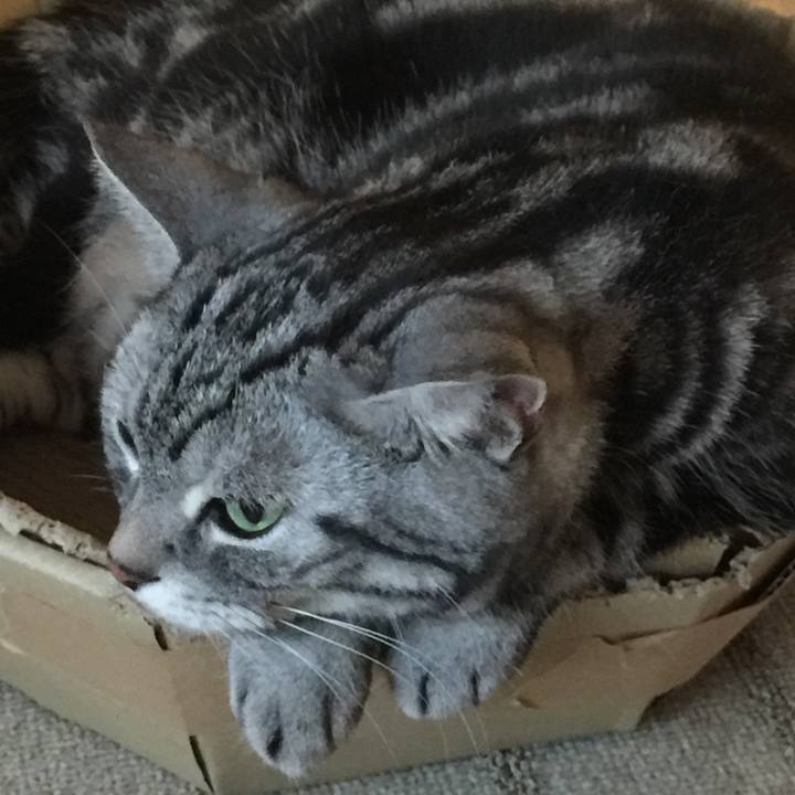 785affad ed89 41e3 8e9c 54cb119c162e