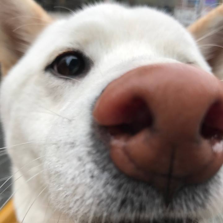 785b422b 0750 4278 bf11 df2f1d8d79c8