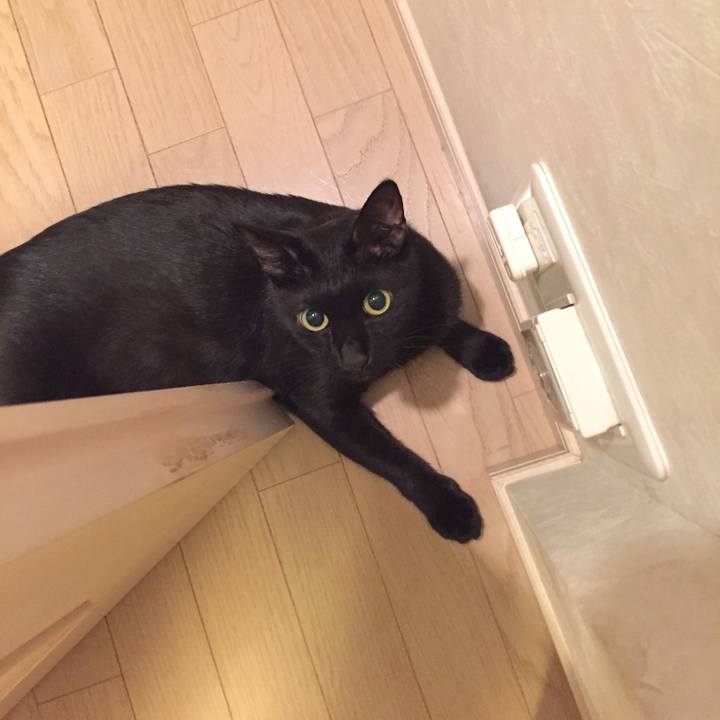 785bb08c 65ae 4bc1 a44e 9fe09e9cbbc3